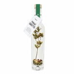 Pineut Vinaigrette Italiaanse kruiden Pineut Vinaigrette Italiaanse kruiden